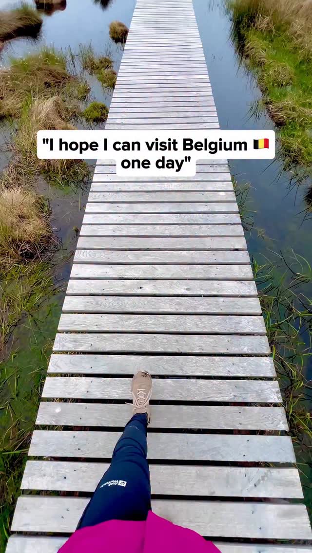 Ryne Cook & Denise Cook | Outdoor Travel, Bruges