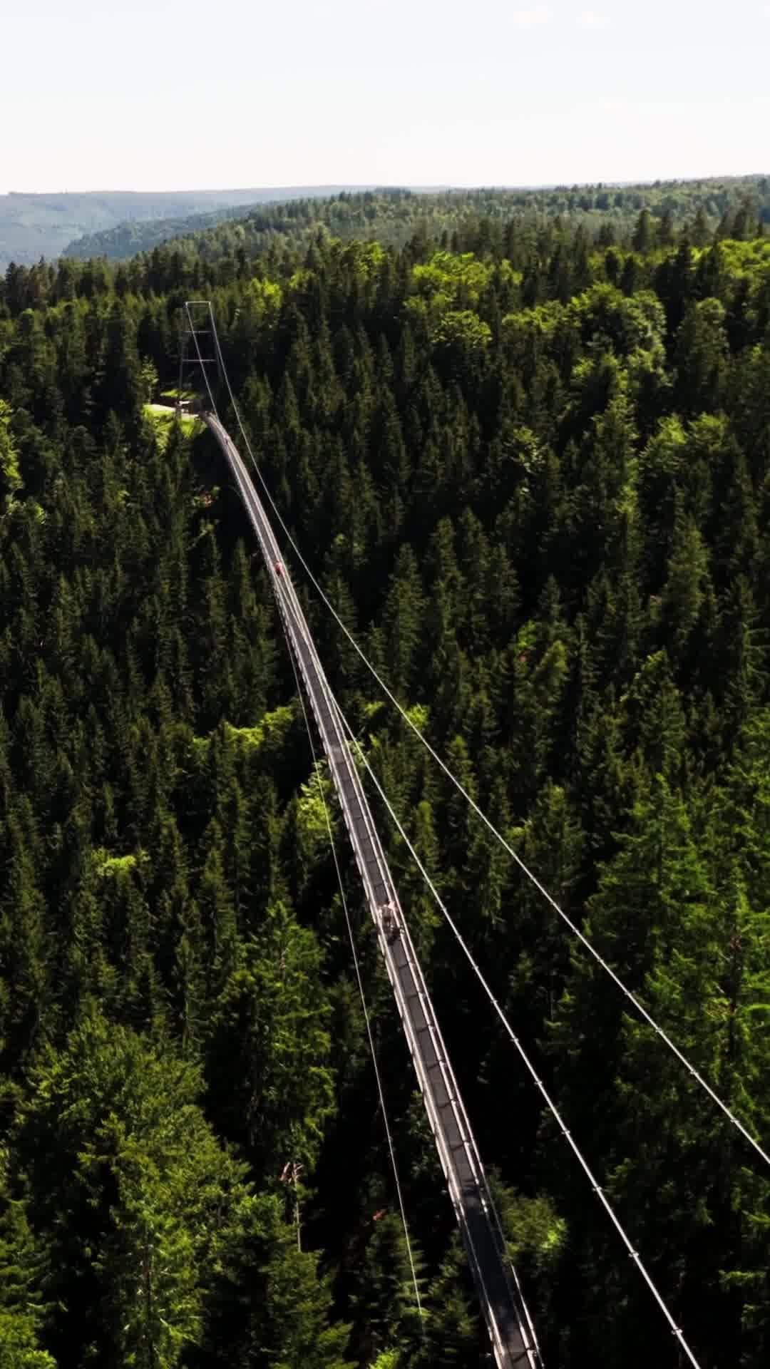 Germany Tourism, Black Forest