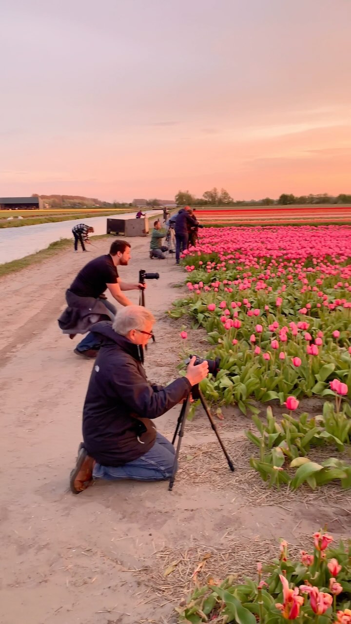 Nick de Jonge, Keukenhof