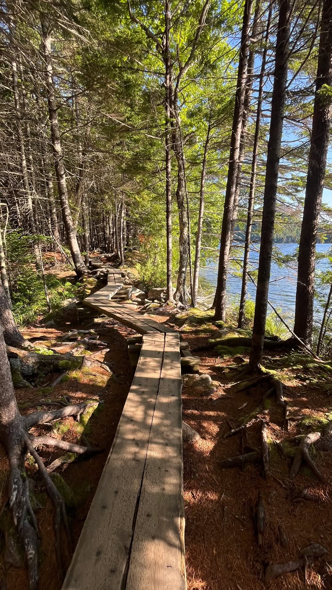 Isabelle LeDuc, Acadia National Park