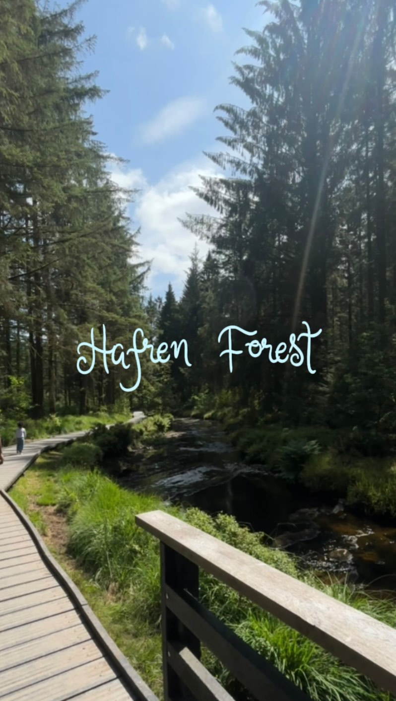 Monique Powell UGC, Hafren Forest