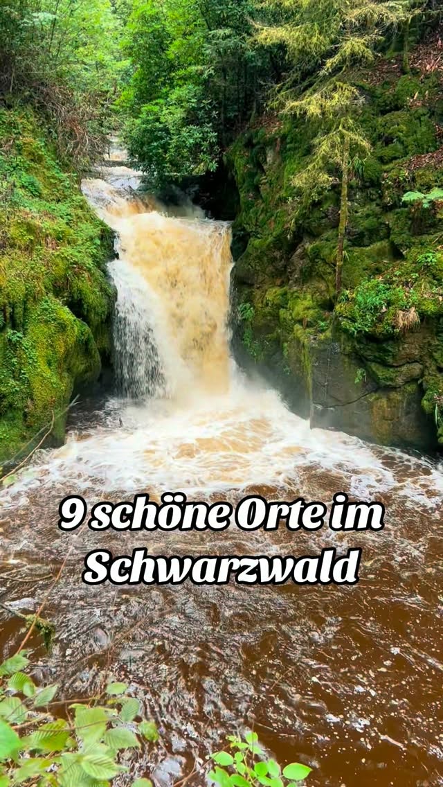 Franky, Triberg Waterfalls