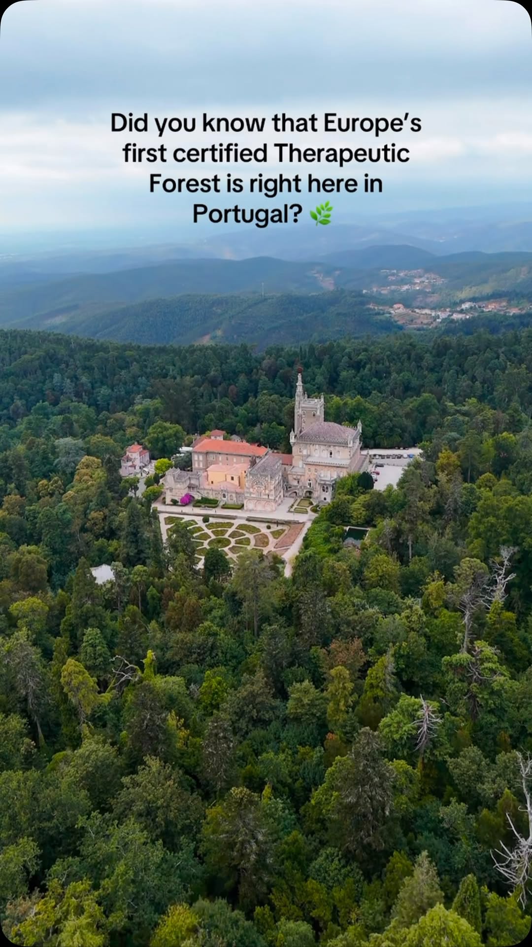 Diane and Jeff, Buçaco National Forest