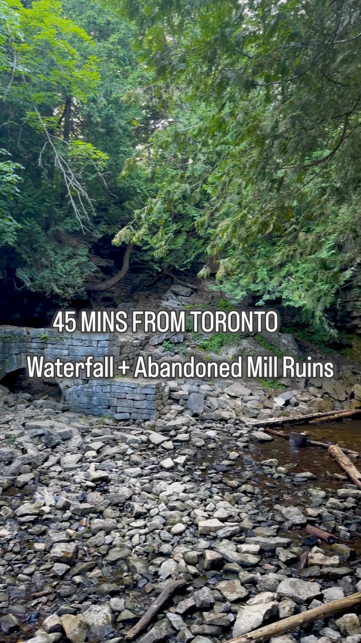 Ontario Nature Escapes | Chase, Hilton Falls Conservation Area