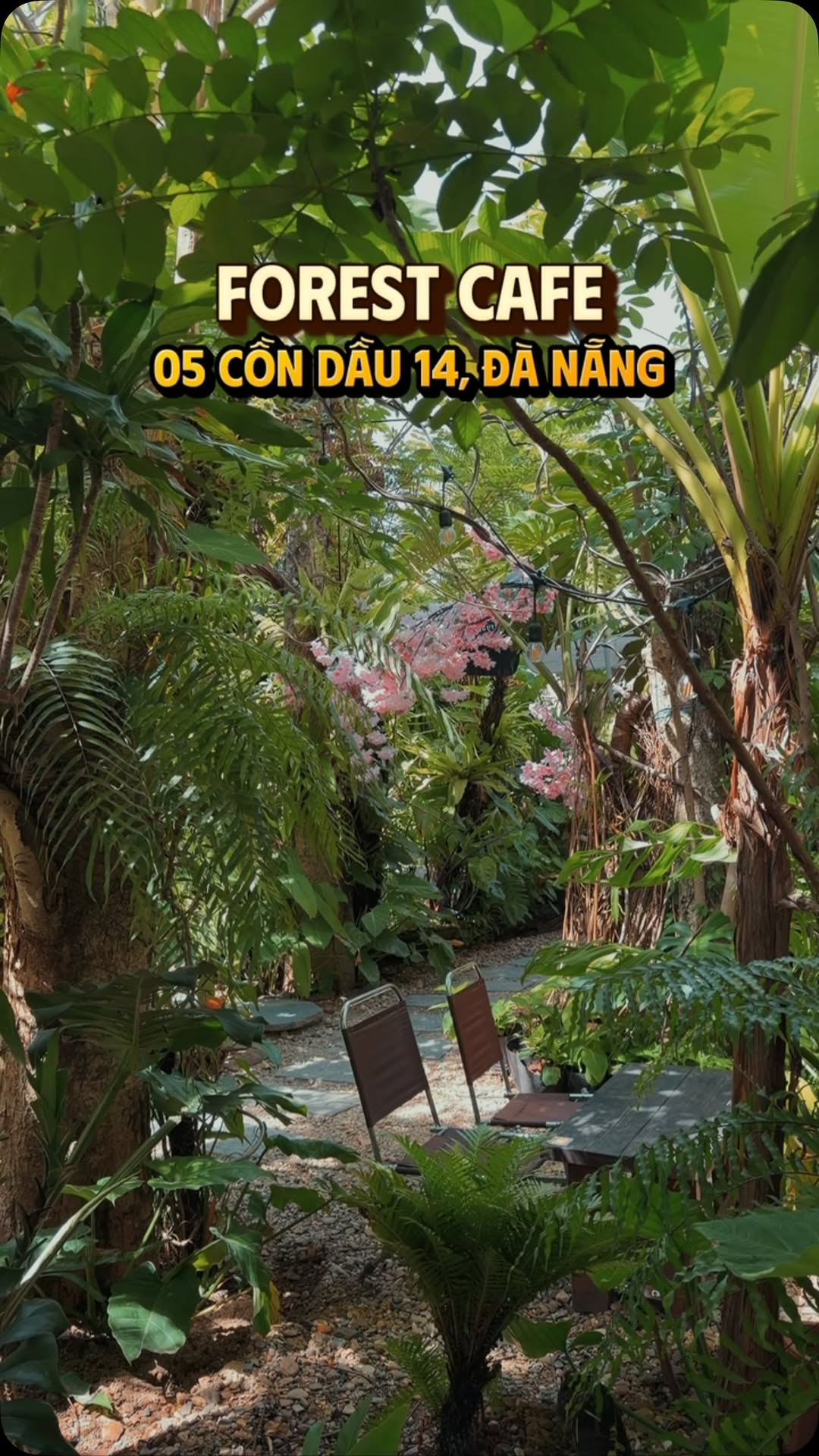 Visit DaNang Vietnam, Forest Coffee Da Nang