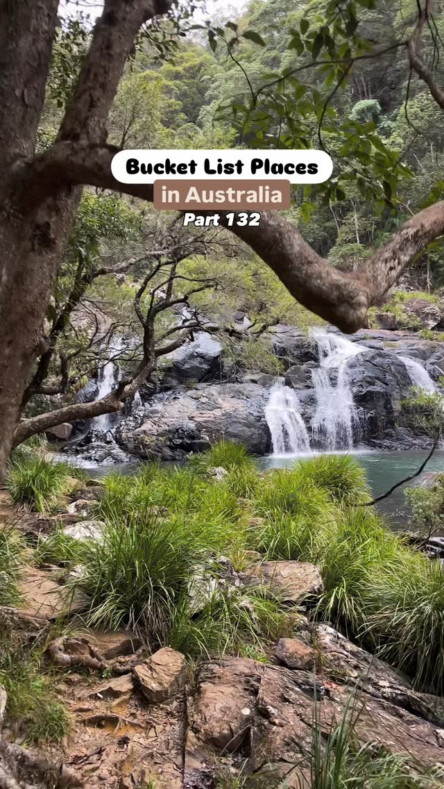 P i e t e r J o h n s e n, Conondale National Park