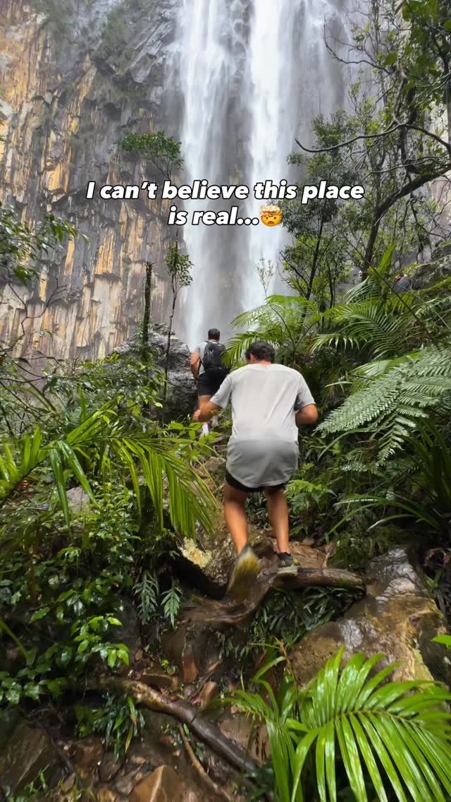 P i e t e r J o h n s e n, Minyon Falls Lookout