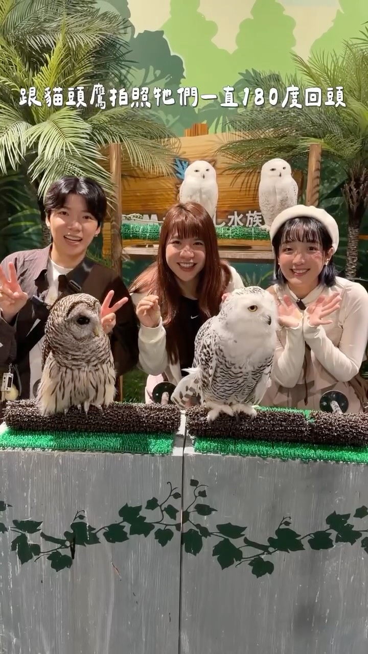三個麻瓜, DMM Kariyushi Aquarium okinawa