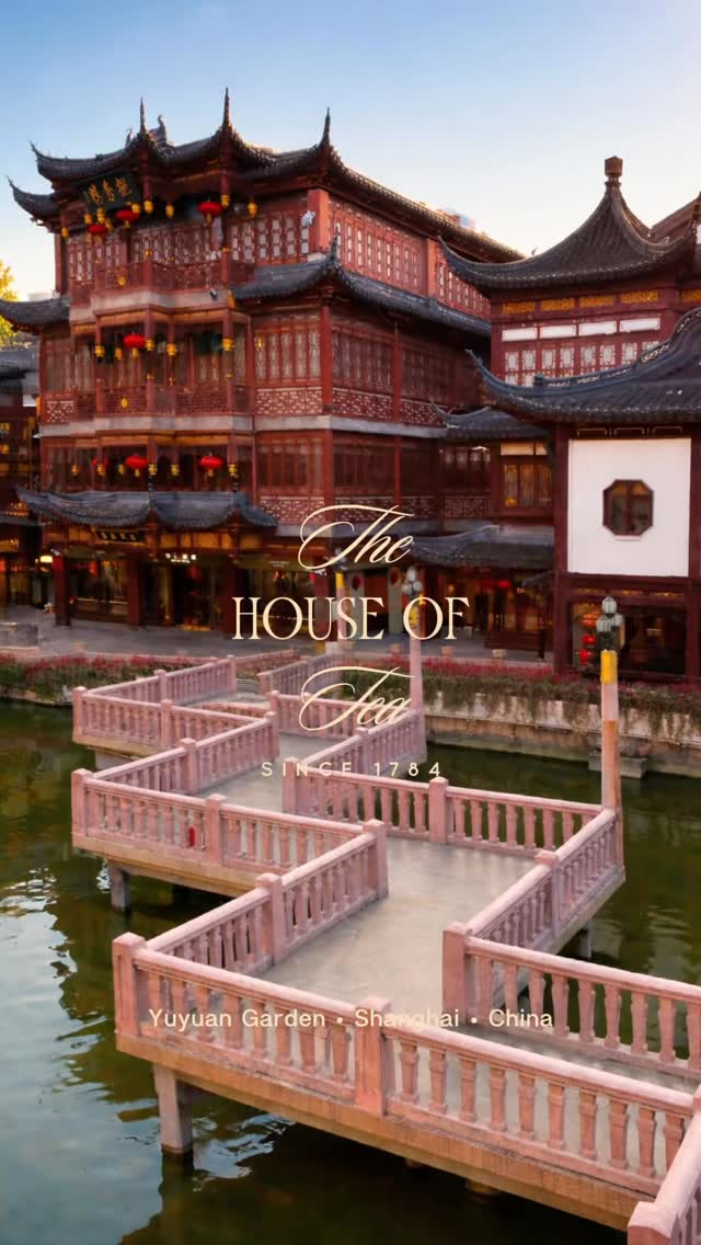 Danielle Miller, Yu Garden