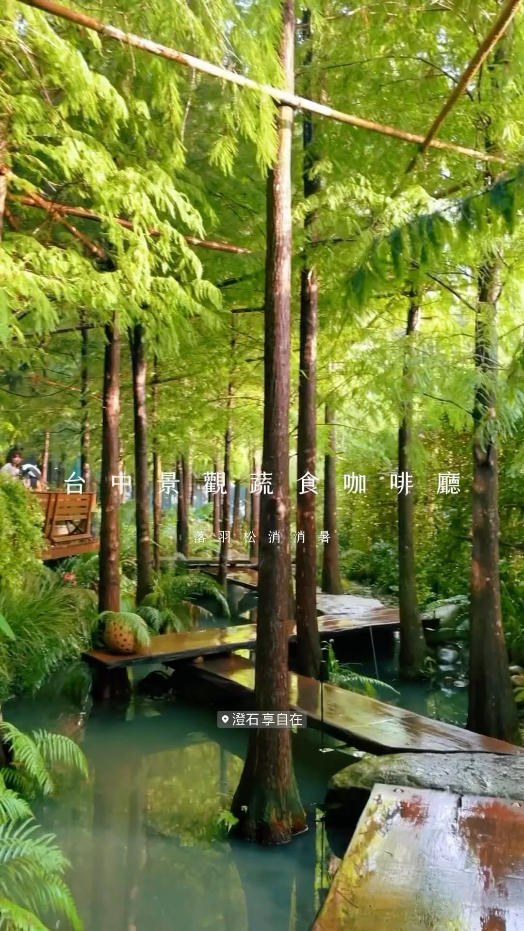 Travel of the Day 旅彼特｜景點 旅遊 蔬食, 鎮平落羽松