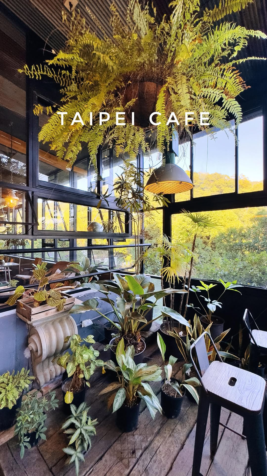 Vivian | NYC Food + Travel, Yangmingshan National Park