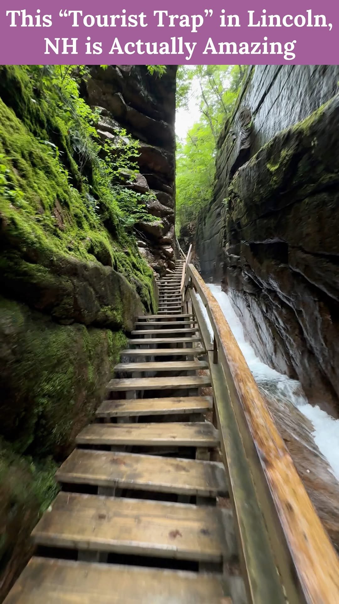 Alaina Pinto | New England Travel & Beyond, Sentinel Pine Covered Bridge