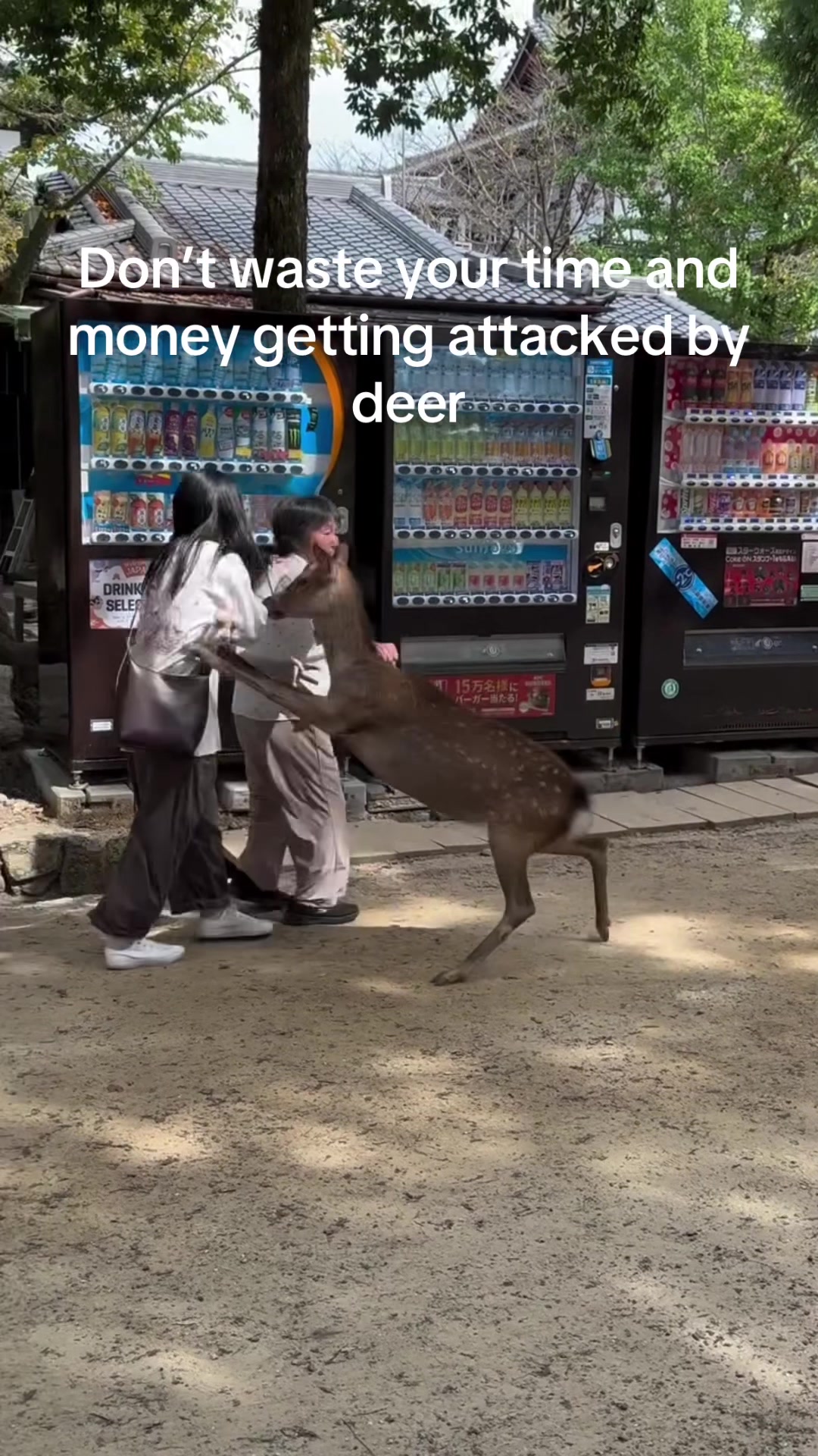 Takayama, Nara Park
