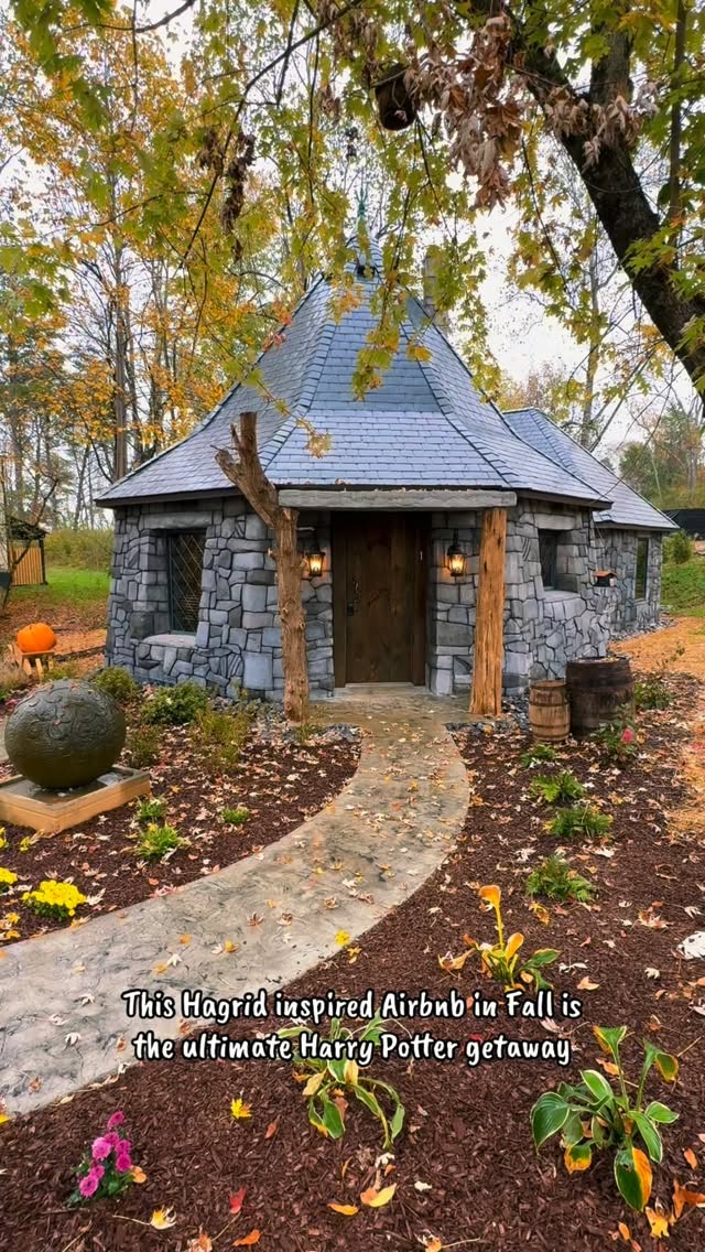 Kelly Ann, Dollywood
