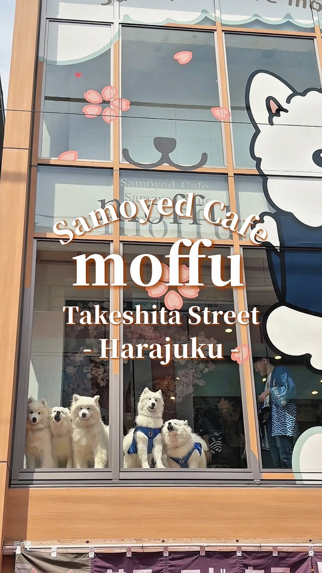 サモエドカフェ moffu 竹下通り店, Takeshita Street