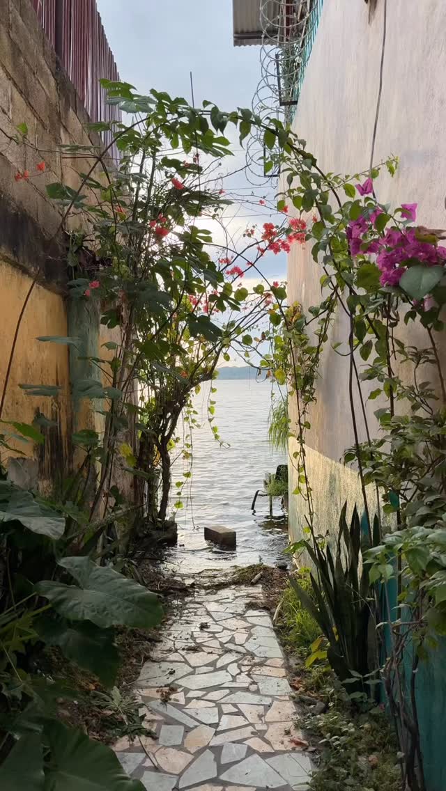 Juan Palacio H | Viajero, Flores