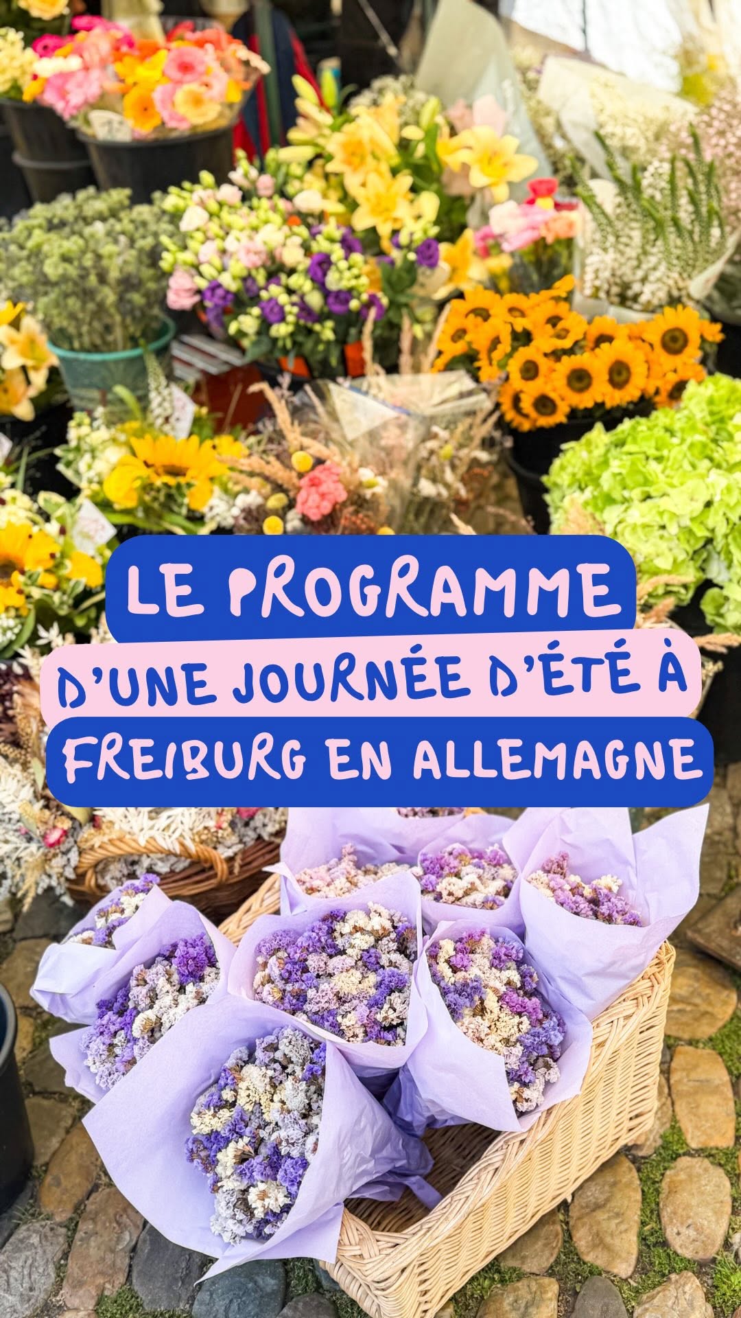 Hungry No(émie) 🌶️ Ta dénicheuse de bonnes adresses en Alsace 🔍, Universität Freiburg Botanical Garden