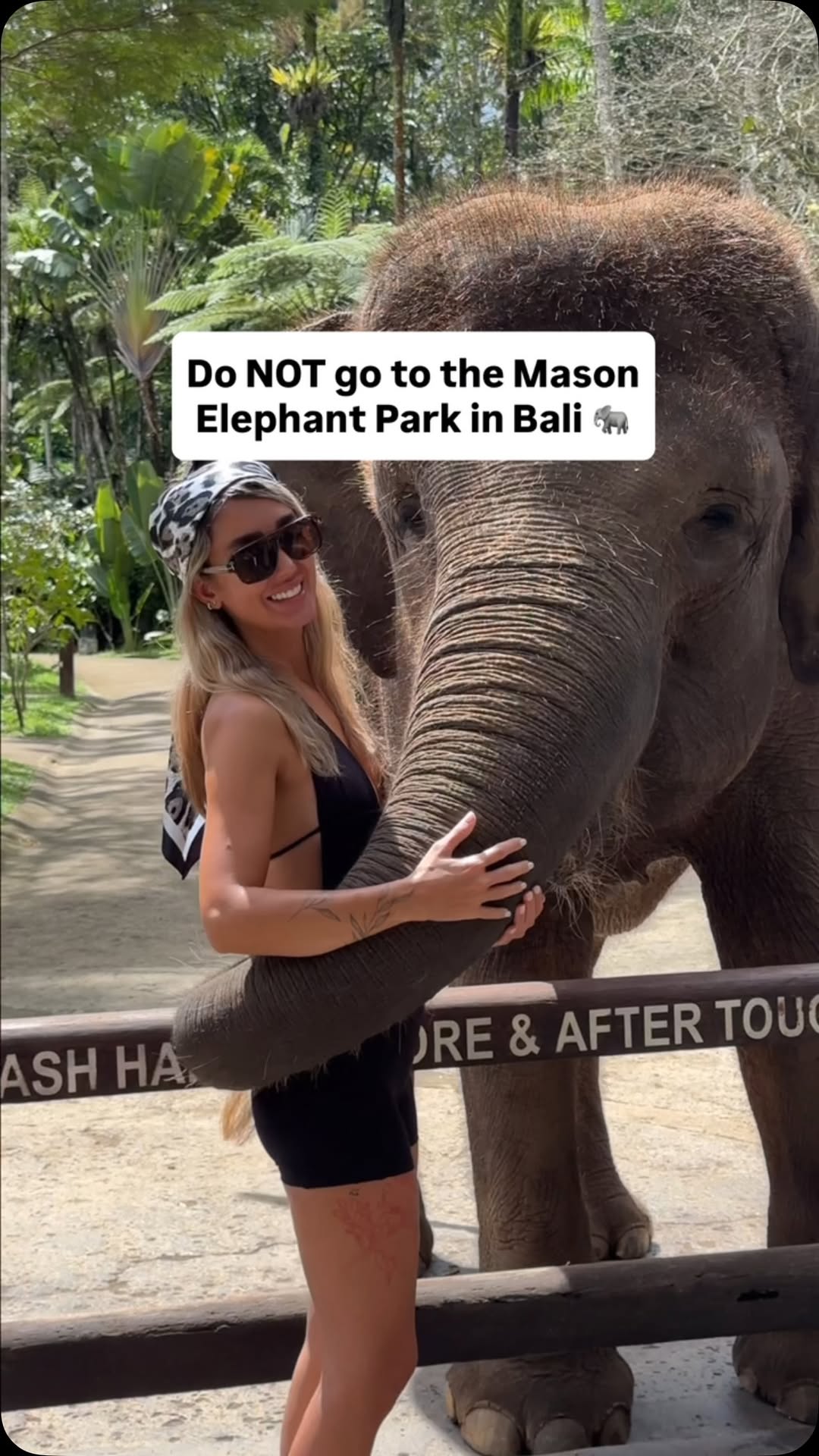 Mason Elephant Park & Lodge | Ubud, Elephant Safari Park Lodge Bali