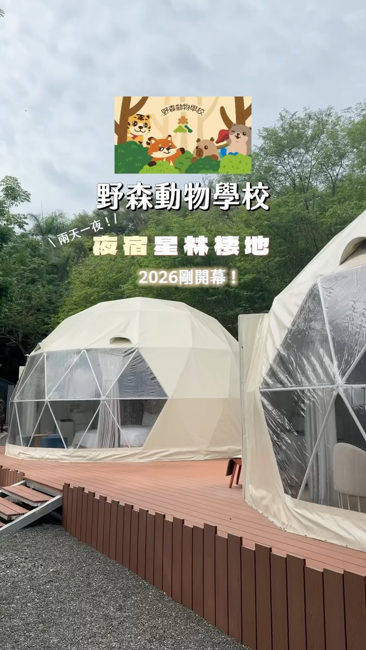 舒安, 野森動物學校