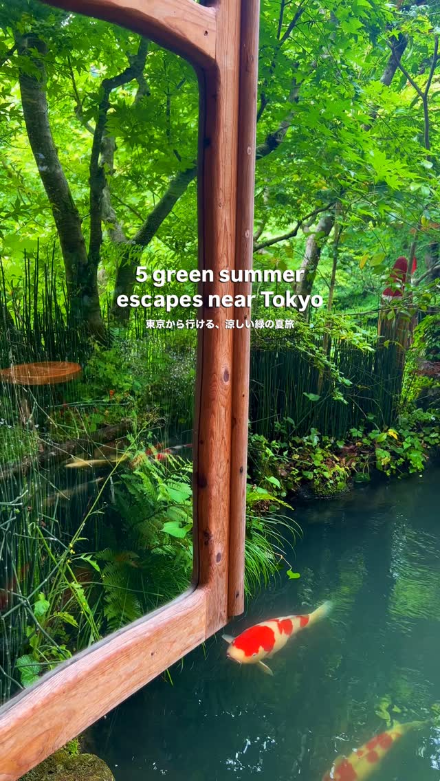 Minami Kristina | Japan Slow Travel, Lake Chūzenji