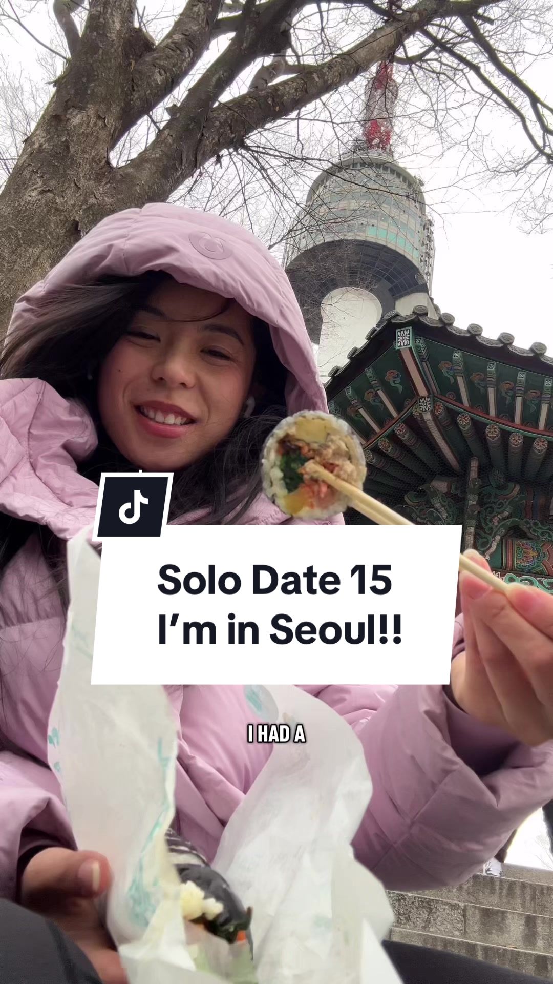 Cindy’s Perspectives, N Seoul Tower