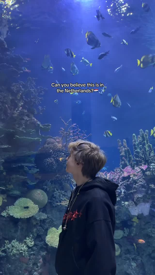 COSMO🚀🪐, Rotterdam Zoo
