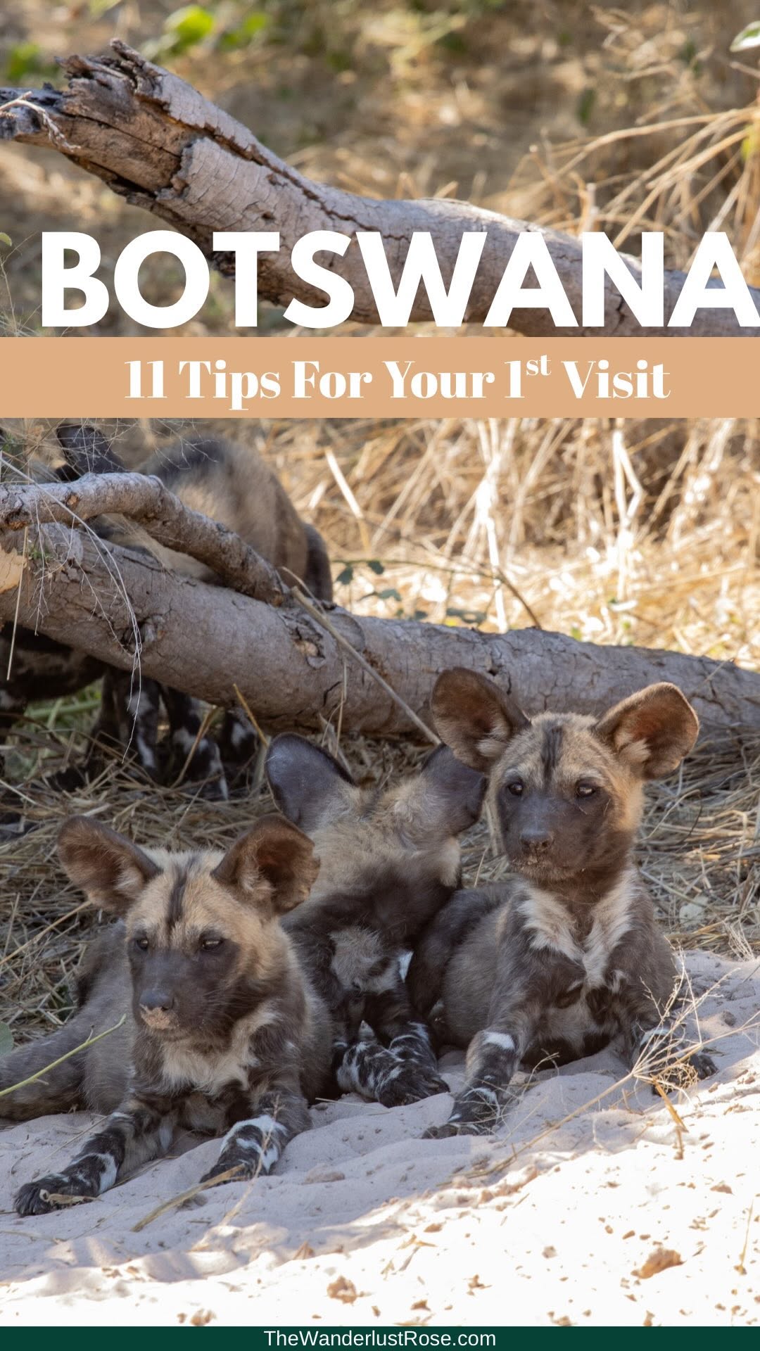 thewanderlust_rose, Botswana