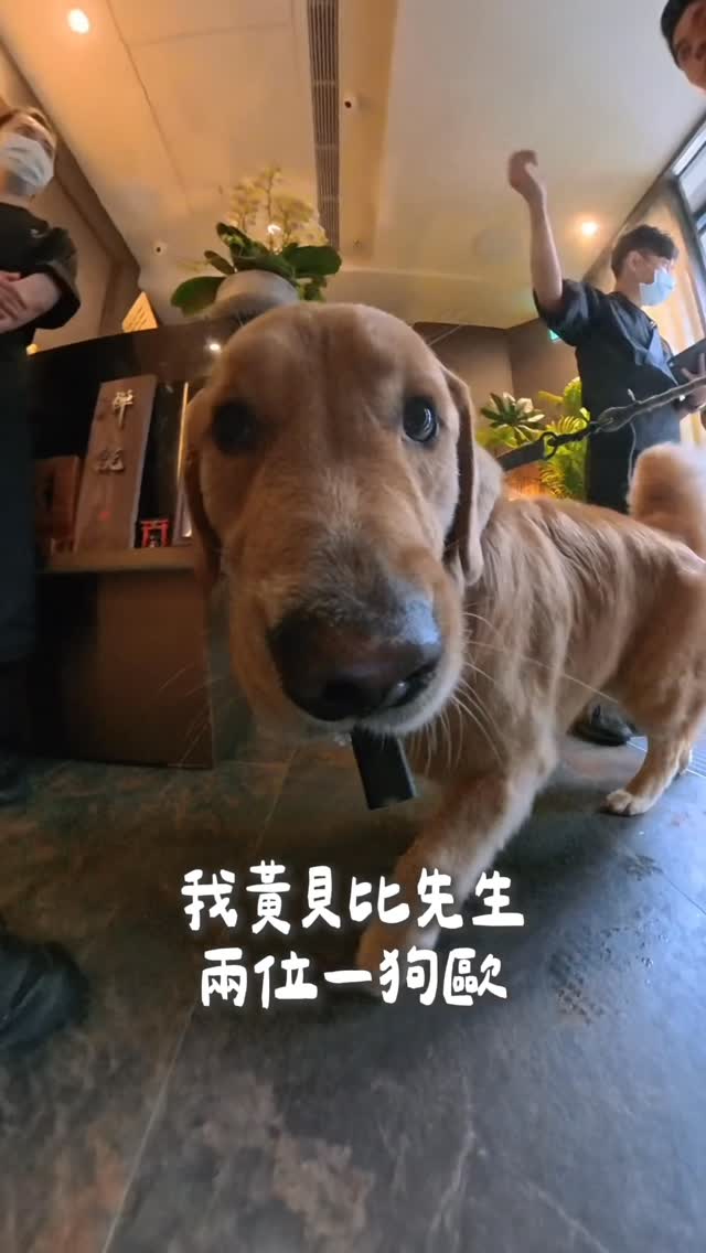 奇諾Chino, 代官山花苑