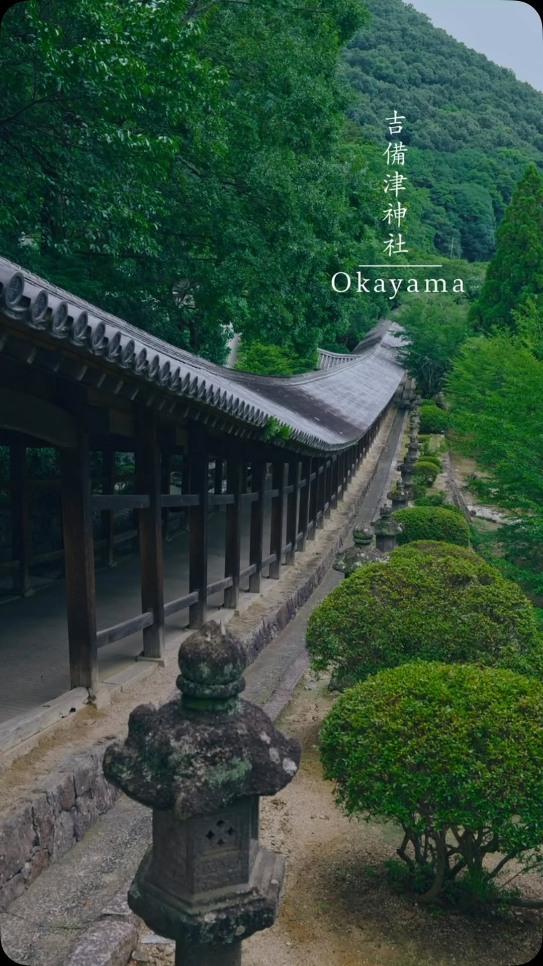 𝗥𝗲𝗼🎥𝗧𝗿𝗮𝘃𝗲𝗹 𝗝𝗮𝗽𝗮𝗻🇯🇵, Mount Fuji