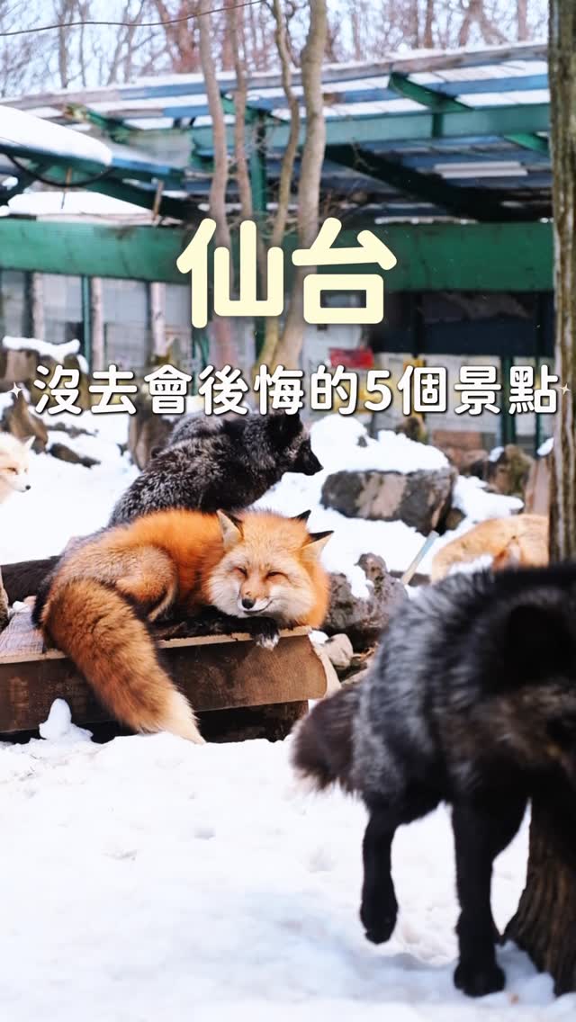 ㄚ沈  日本旅遊｜美食｜景點, Zaō Fox Village