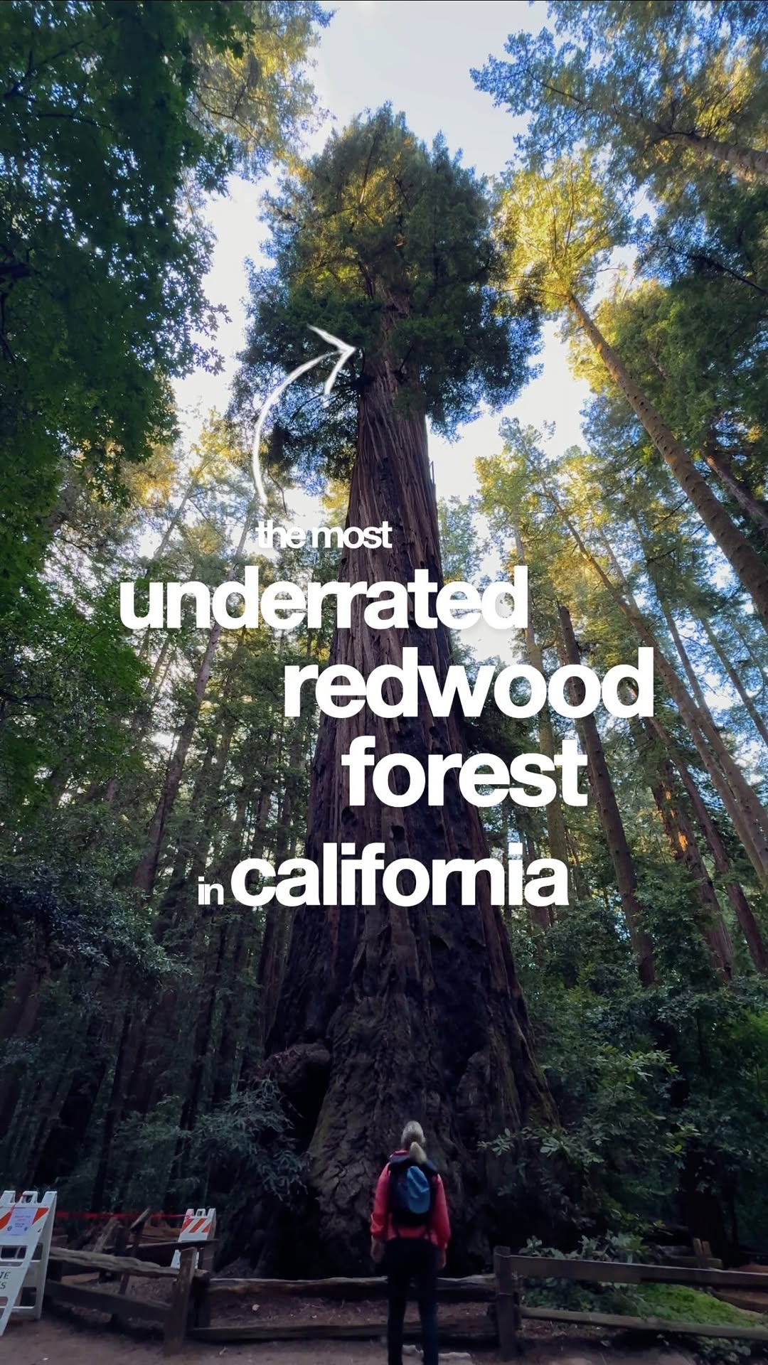 Sam | Adventure Travel • Hiking • Road Trips, Muir Woods National Monument