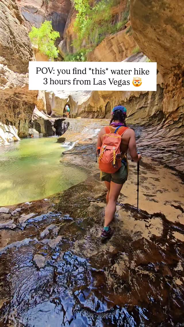 Molly | Hiking + Camping + Family Adventures, Zion National Park