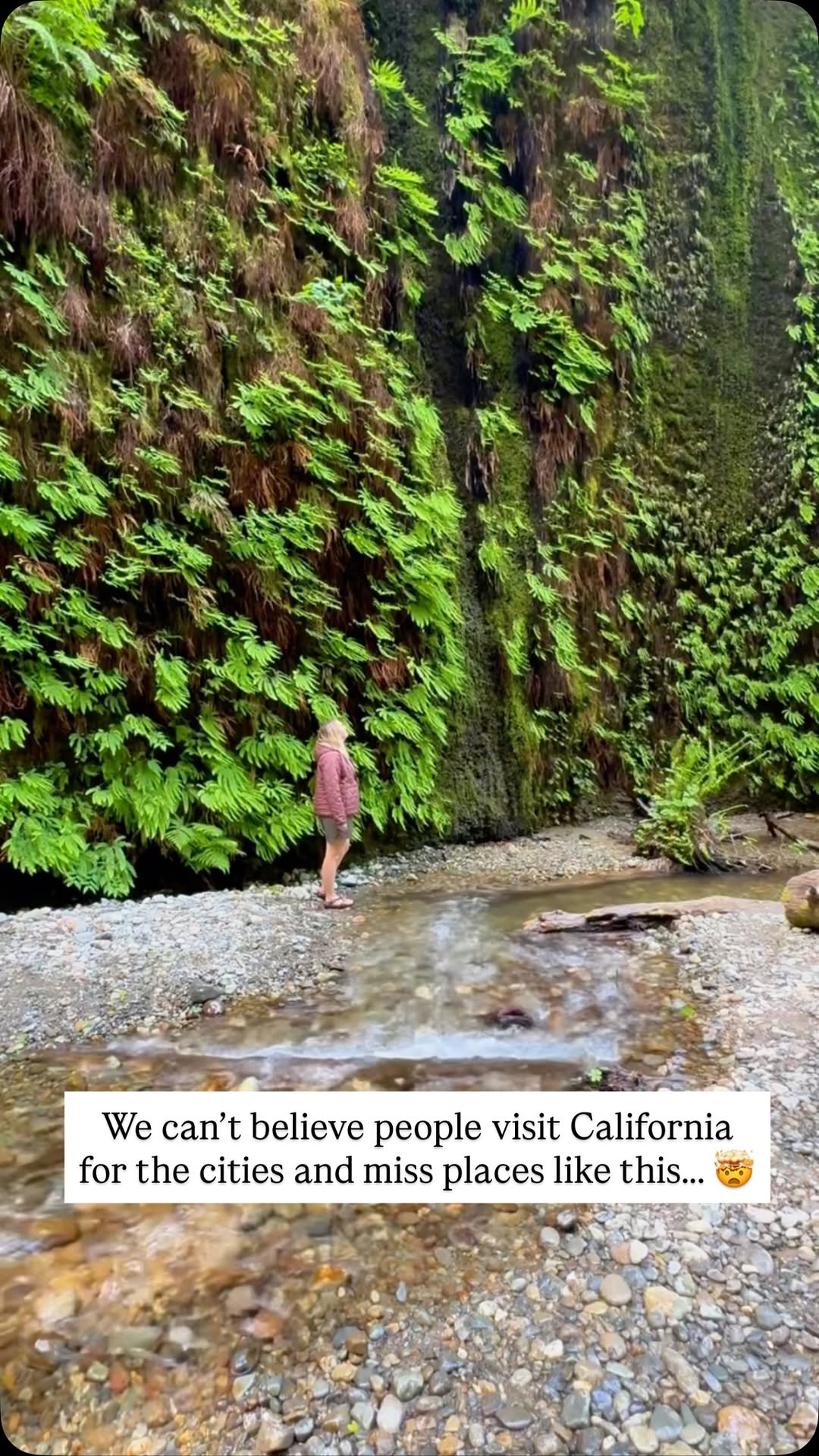Melissa McCraw and Carson McCraw | RV Life | US Travel, Redwood National and State Parks