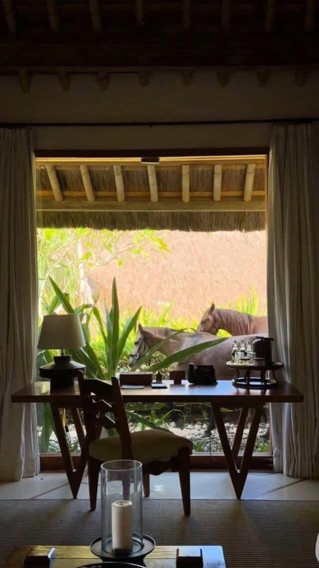 NIHI Sumba | Edge of Wildness™, NIHI Sumba