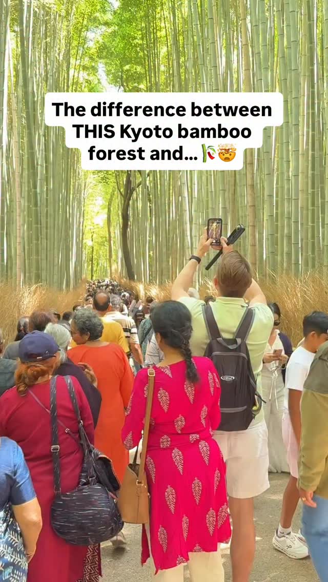 KRISTIN + DAVID | 🥾 Outdoorsy World Travel + Hiking, Arashiyama Bamboo Forest