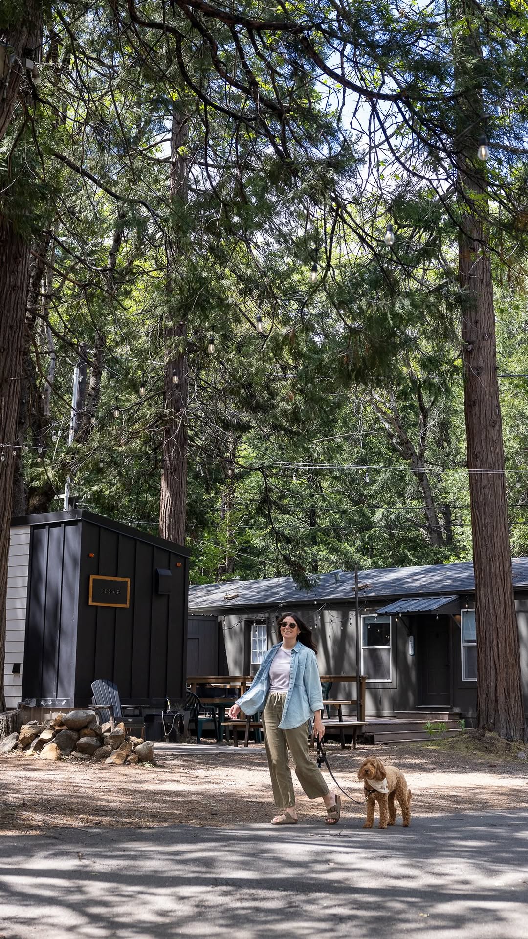 Ruby & Melanie Rigden | Dog-friendly Travel, Mount Shasta