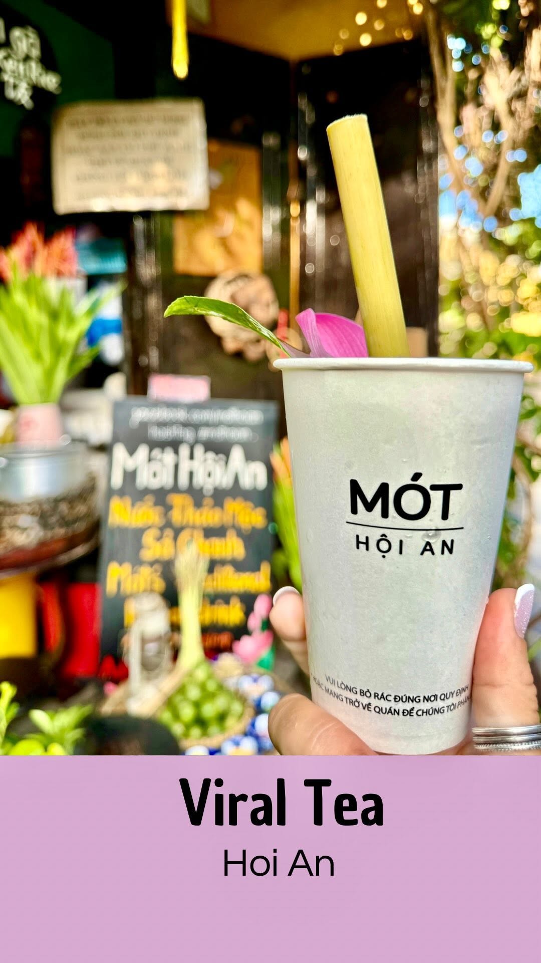 Sophie |  🇻🇳 Vietnam Travel & Life, Mót Hội An - Nước Thảo Mộc Sả Chanh