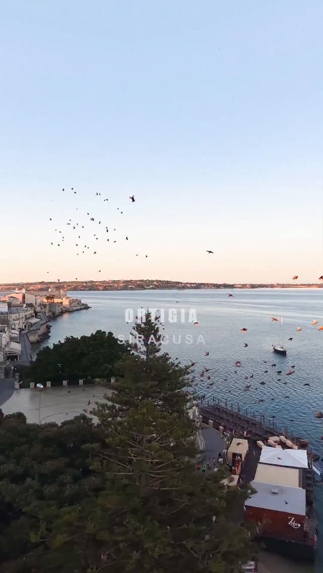 Marcolino Discover, Island of Ortigia