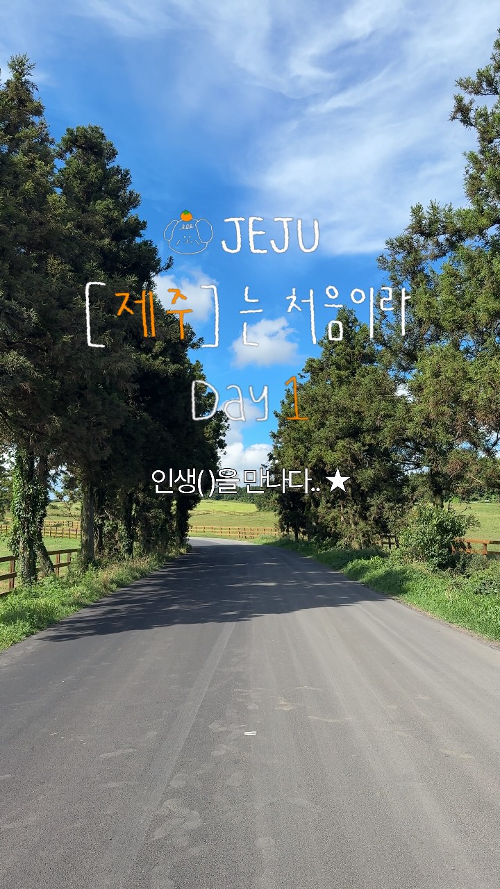 데이옾 쫌구 | 카페•맛집•핫플 탐험가, Seogwipo Olle Market
