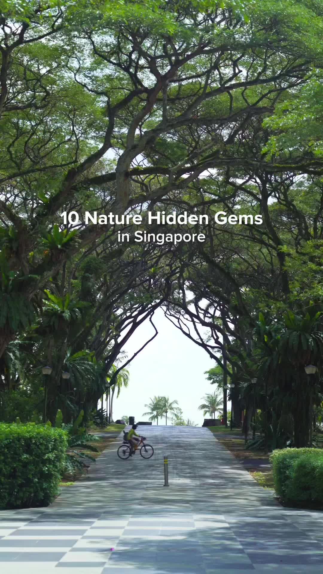 Bipi, Singapore Botanic Gardens