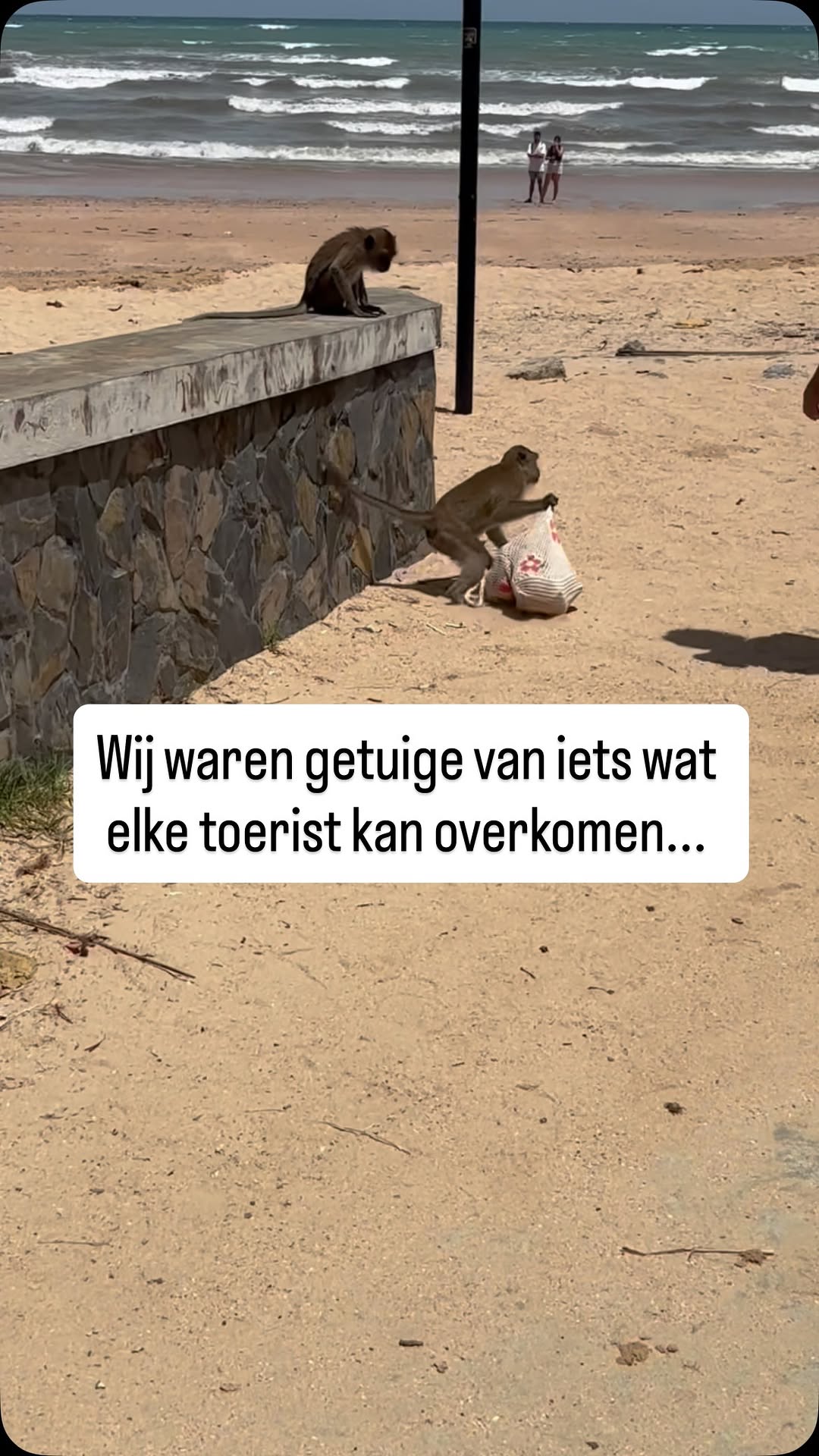 Femke | Tienerproof reizen & avonturen, Monkey Trail, Ao Nang