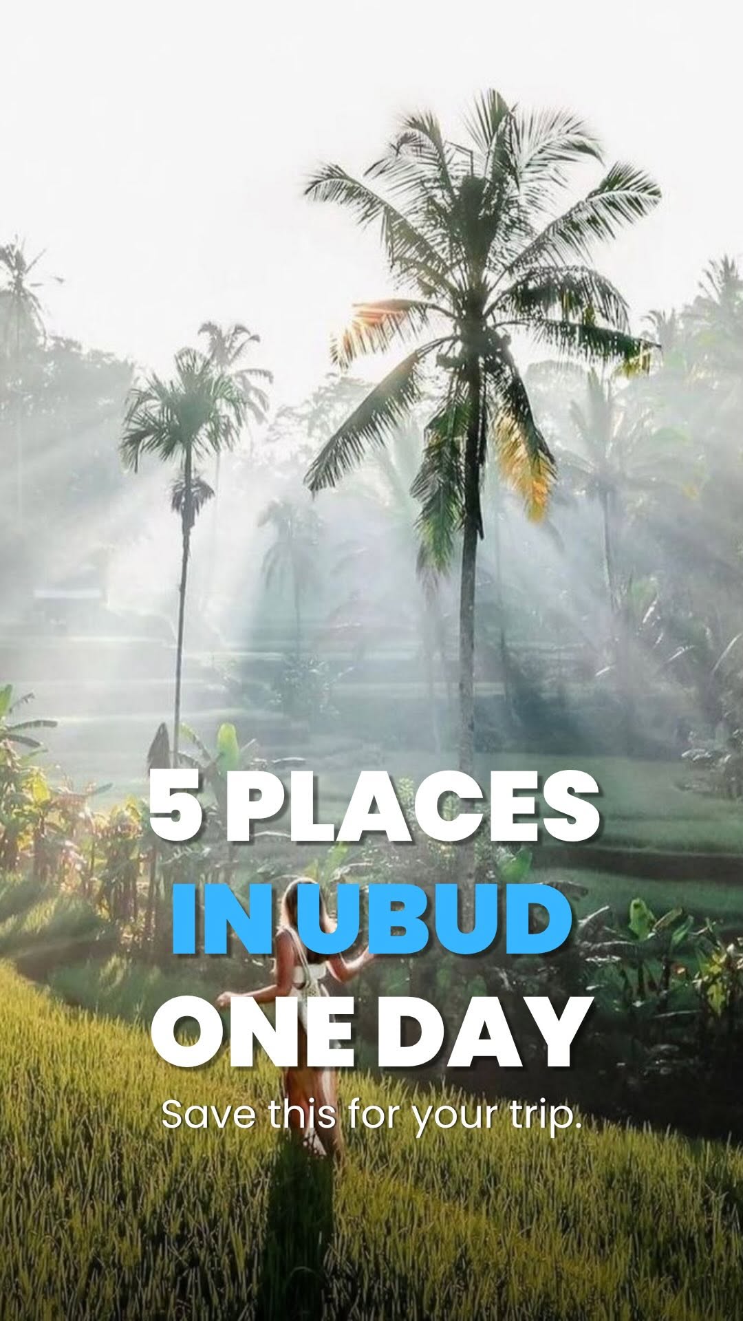 Bali Tours by Travelnata, Sacred Monkey Forest Sanctuary