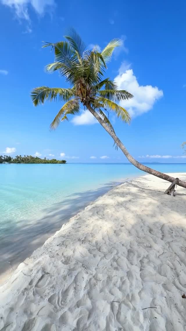Nir al, Phi Phi Islands