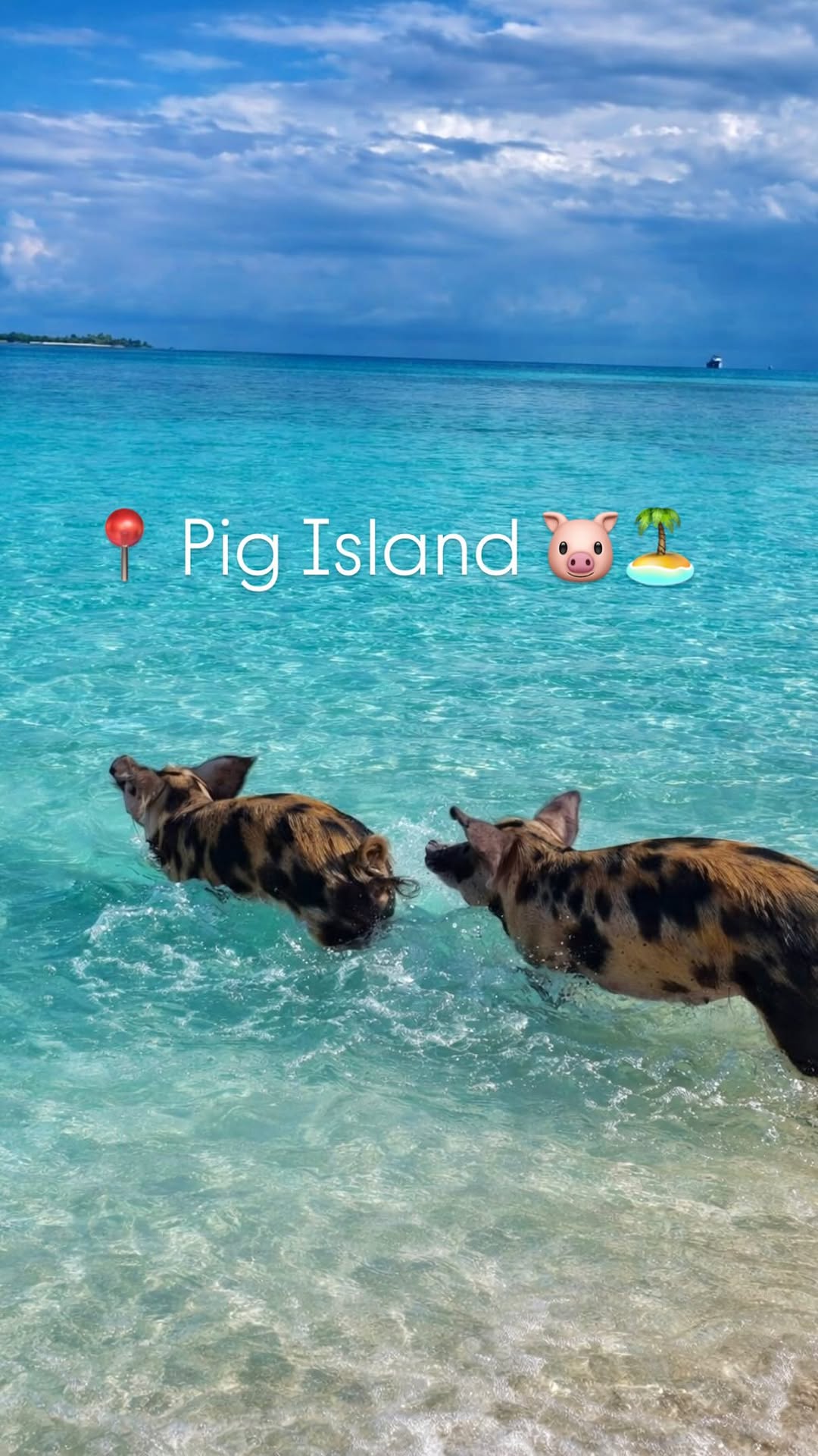 Felipe, Pig Beach