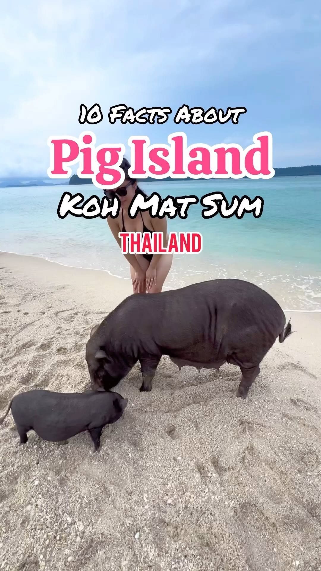Bao ✨, Pig Island Thailand - Koh Samui Office
