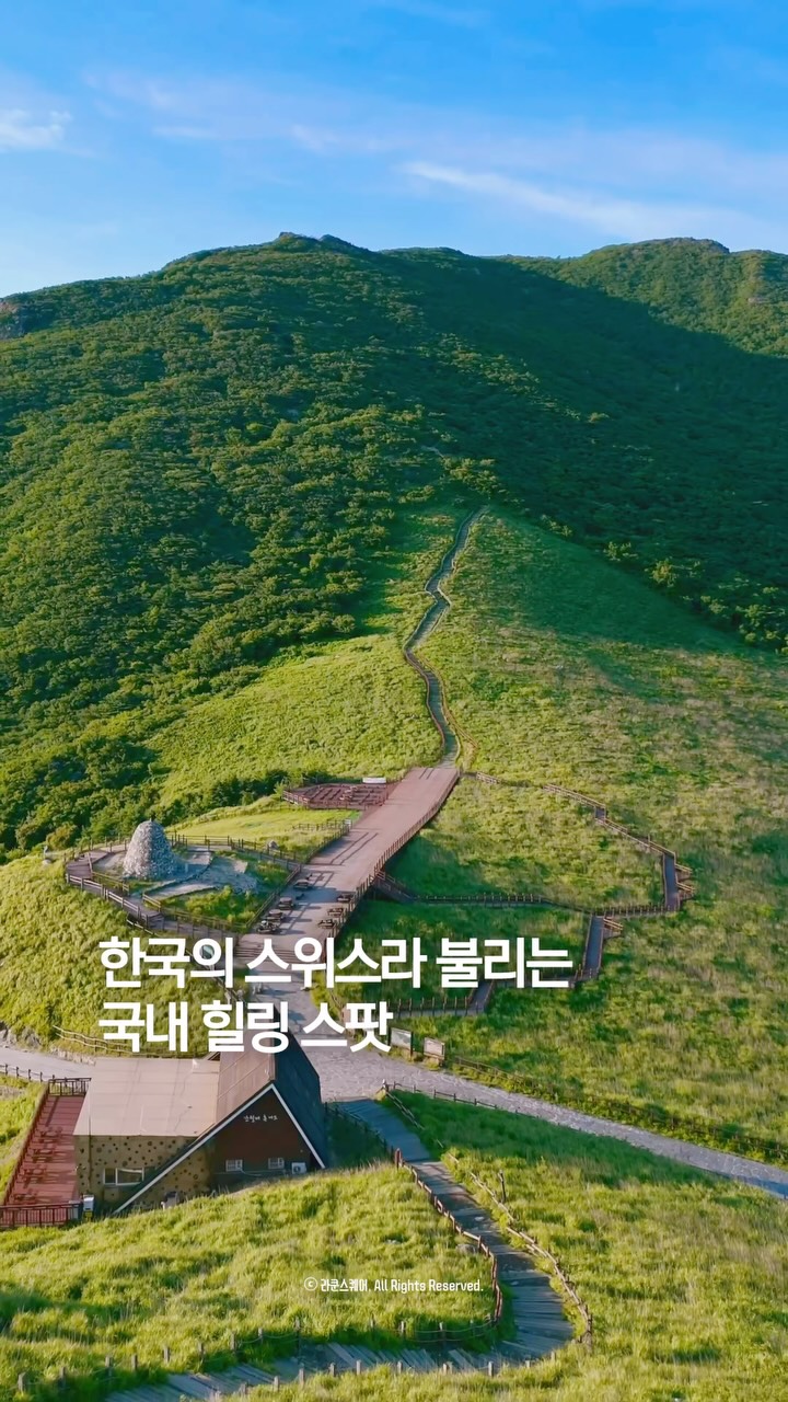 라쿤스퀘어┃대구·경상 힐링 공간 디렉터, Ganwoljae