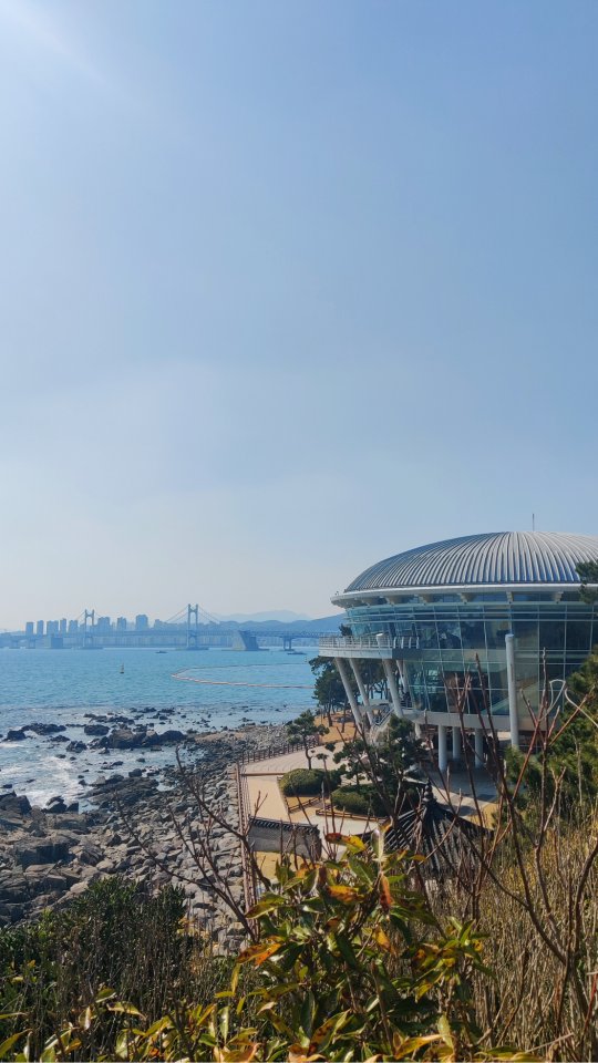 Gin | Travel Planner & Blogger 🗺️, Haeundae Beach