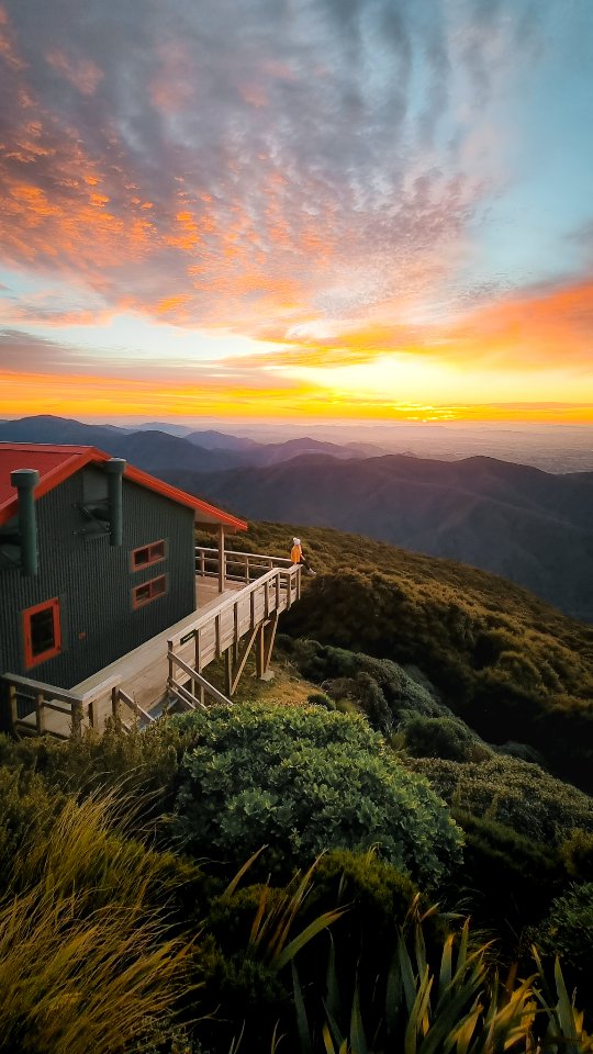 Kristina | New Zealand Travel, Hiking & Outdoors, Tararua Forest Park