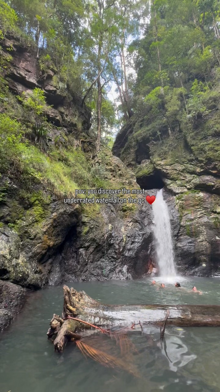 GC Wandering | Gold Coast & Brisbane Guide, Springbrook National Park