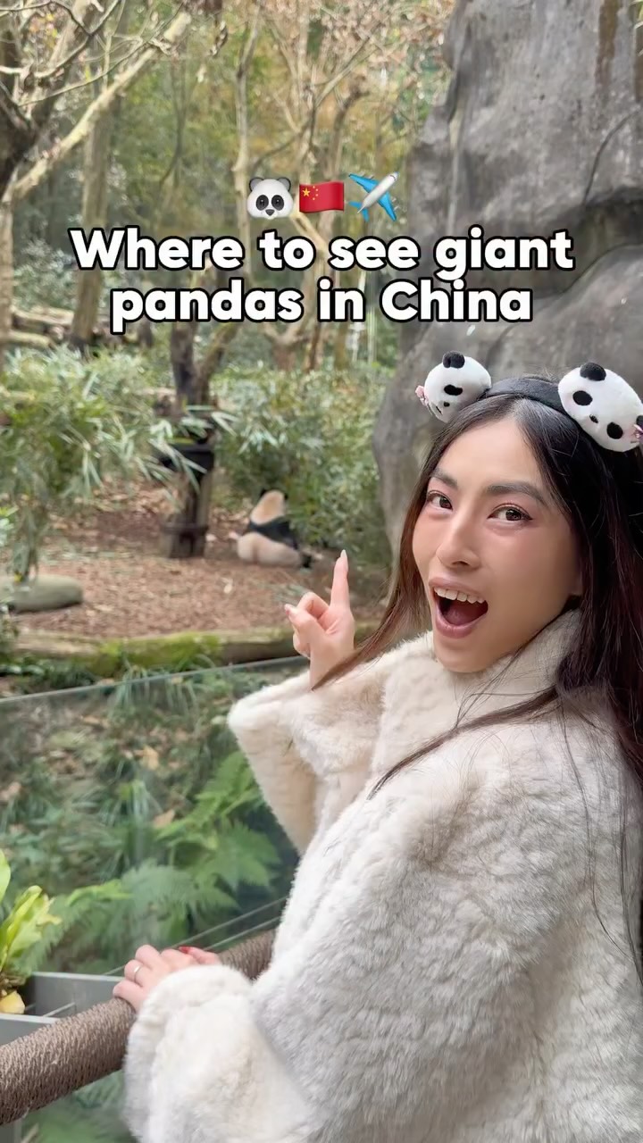 Jubilee Eats, Chengdu Research Base of Giant Panda Breeding